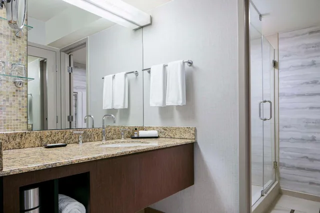 Room, King Bed, Allergy Friendly، Hyatt Regency DFW International Airport 6/7