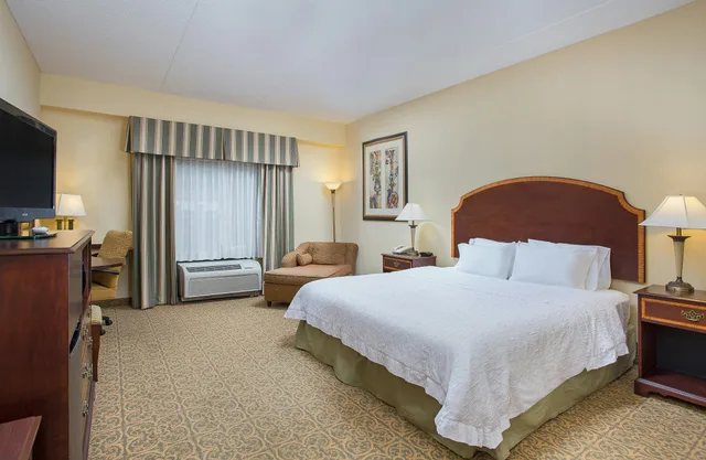 غرفة بسرير كينج لذوي الإعاقة، Hampton Inn Pikeville 3/4