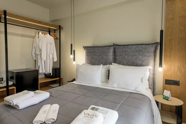 غرفة سوبيريور بسرير كوين بجاكوزي، Nikon Boutique Hotel 2/9