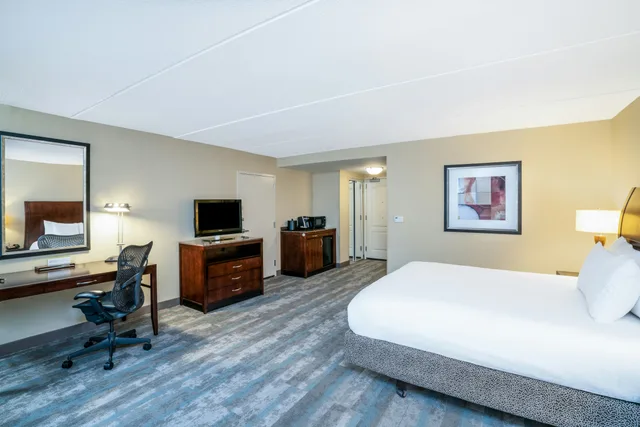 غرفة بسرير كينج بحوض استحمام لذوي الإعاقة، Hilton Garden Inn Richmond Airport 2/4