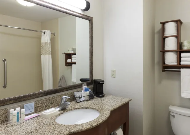 استوديو بسرير كينج مع أريكة لذوي الإعاقة، Hampton Inn Suites Davenport 4/6