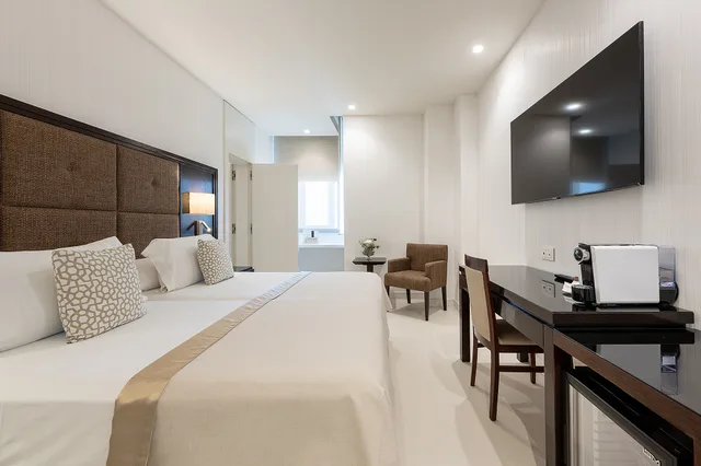 غرفة تنفيذية مفردة بسرير مزدوج، Hotel Saray 2/2