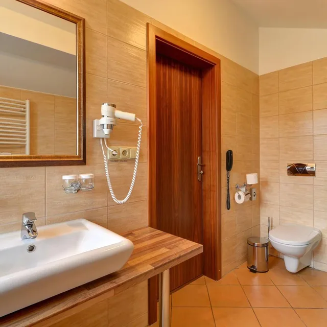 غرفة قياسية بسرير مزدوج أو سريرين منفصلين، U Pramenu Hotel 6/10