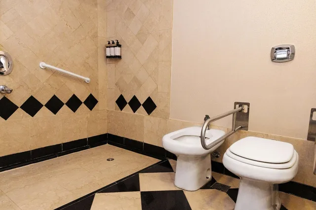 غرفة بسرير كينج لذوي الإعاقة، DoubleTree by Hilton Buenos Aires 4/4