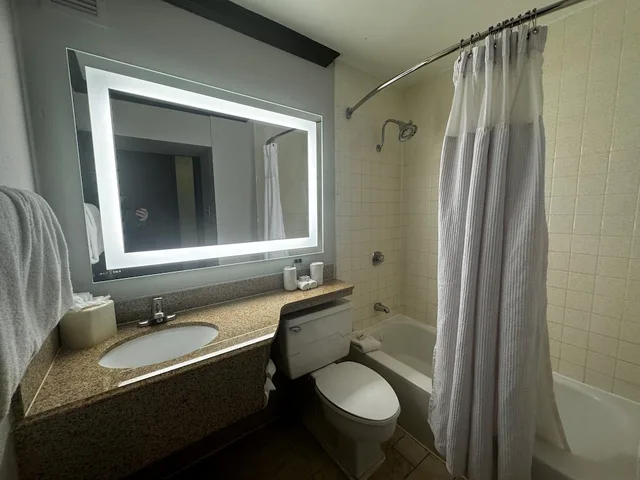 Room, King Bed, Wingate Houston near NRG Park/Medical Center 7/8