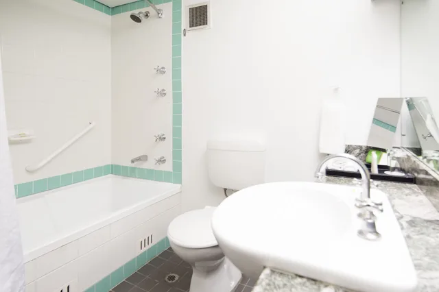 غرفة بريميوم بسرير كينج، Holiday Inn Parramatta 8/10