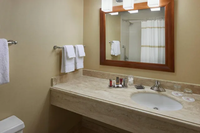 غرفة ركنية بسرير كينج، Toronto Airport Marriott 5/10