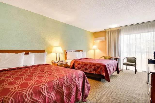 غرفة قياسية بسريرين مزدوجين، Econo Lodge Tampa near Busch Gardens 3/6