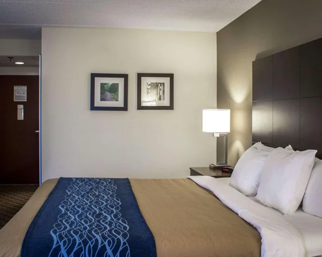 غرفة بزنس بسرير كينج، Comfort Inn & Suites Fuquay Varina 1/1