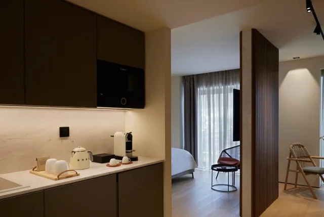 1 Bedroom, Suite, Urban View، Dusit Suites Athens 8/9