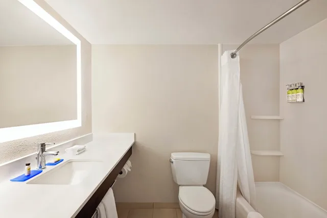 غرفة قياسية بسرير كينج مع أريكة، Holiday Inn Express Hotel & Suites Sarasota East - I-75 2/2