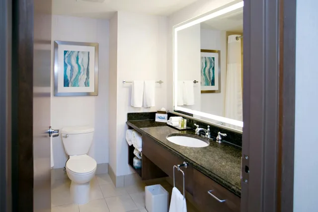 غرفة ديلوكس بسرير كينج مع أريكة، Hilton Minneapolis Bloomington 3/5