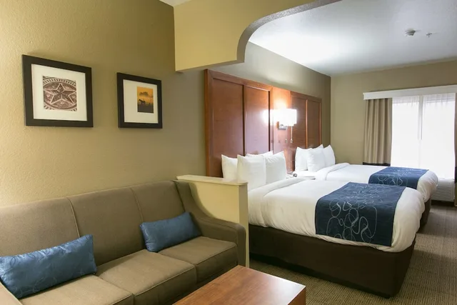 جناح بسريرين كوين مع أريكة لذوي الإعاقة، Comfort Suites Austin NW Lakeline 2/3