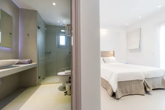 غرفة قياسية بسريرين منفصلين، Anemomylos Residence 8/8