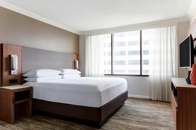 غرفة ديلوكس بسرير كينج مع أريكة، Houston Marriott Medical Center/Museum District 1/4