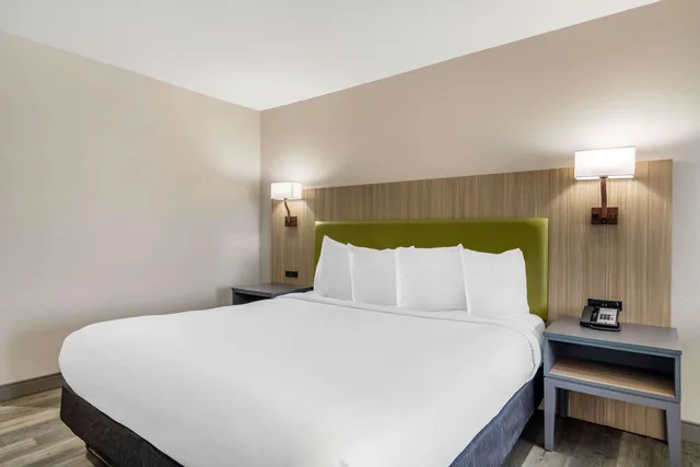 جناح بسرير كينج، Country Inn and Suites By Radisson Atlanta Airport South GA 1/5