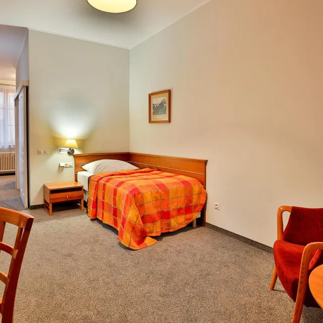 غرفة مفردة، Hotel Dvorak Tabor 3/8