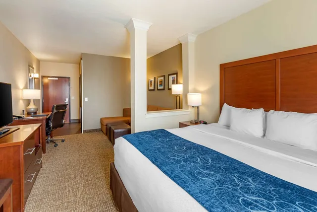 جناح بسرير كينج، Comfort Suites Near Denver Downtown 1/3