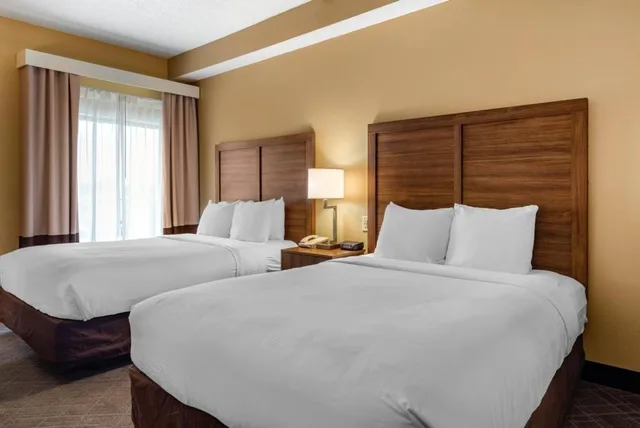 Suite, Queen Bed, Comfort Inn Suites At Stone Mountain 2/6