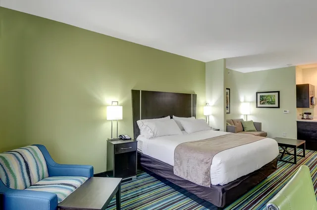 جناح بسرير كينج، Holiday Inn Express And Suites Carrizo Springs 2/2