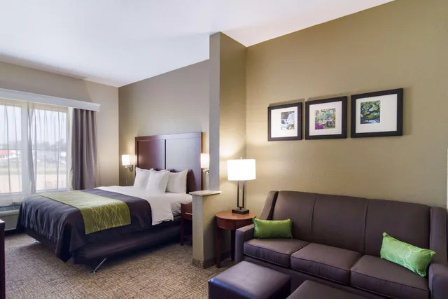 جناح بسرير كينج لذوي الإعاقة، Comfort Inn Blackshear Hwy 84 2/4