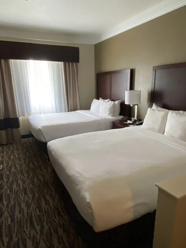 جناح بسريرين كوين مع أريكة لذوي الإعاقة، Comfort Suites Salem 1/5