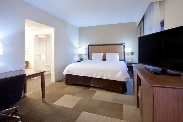 غرفة قياسية بسرير كينج مع أريكة، Hampton Inn & Suites Nashville-Smyrna 2/3