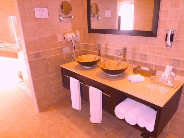 جناح ديلوكس، Xelena Hotel and Suites 6/9