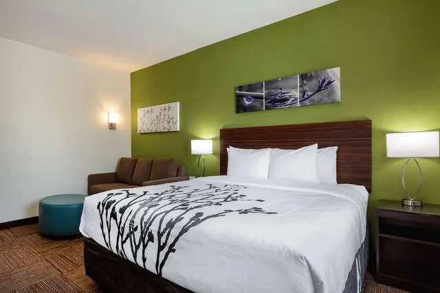جناح بسرير كينج مع أريكة، Sleep Inn & Suites Tampa South 1/5