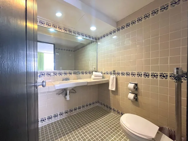 غرفة سوبيريور بسرير مزدوج بإطلالة على الجبل، Hotel Delfin PV 8/9