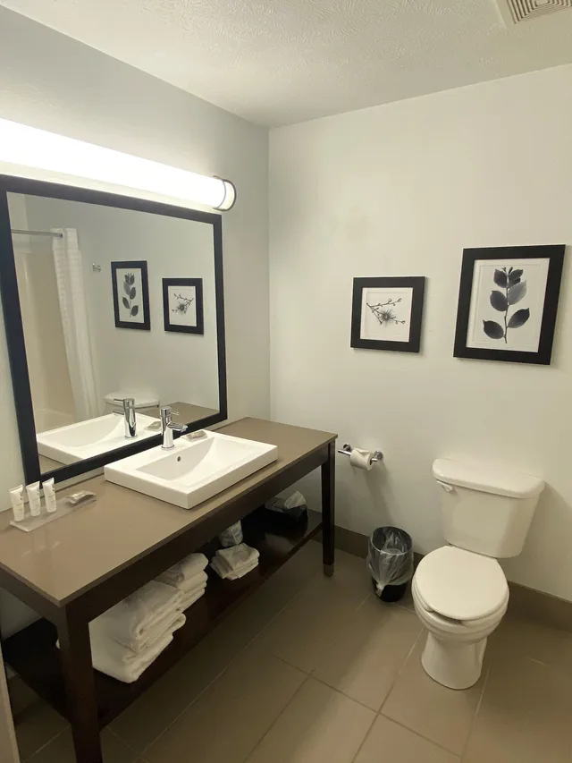 1 Bedroom, Suite, King Bed, Accessible, Country Inn and Suites by Radisson Council Bluffs IA 6/6