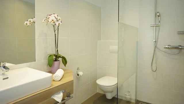 بنغل بشرفة، VILA VITA Pannonia 4/4