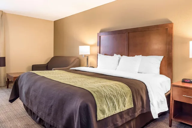 Room, King Bed, Accessible, Comfort Inn Suites Piqua Near Troy I75 1/2