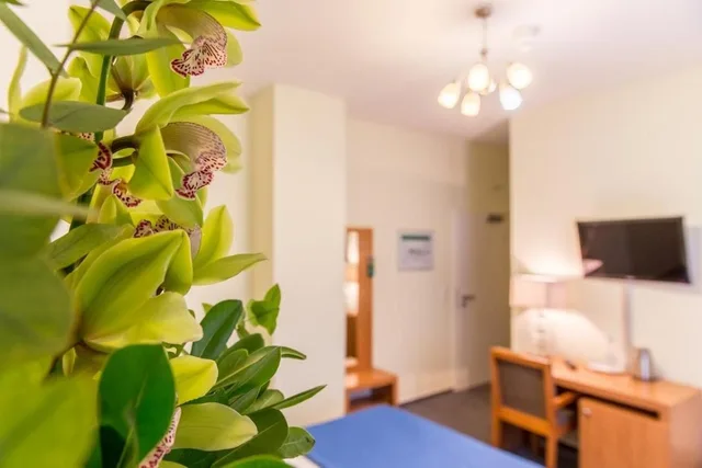 غرفة قياسية بسرير مزدوج، Hotel Expo 2/2