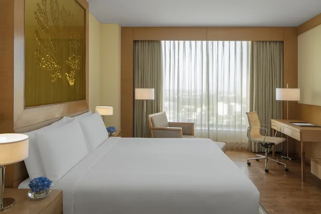 جناح بسرير كينج، Radisson Blu Hotel, New Delhi Dwarka 2/10