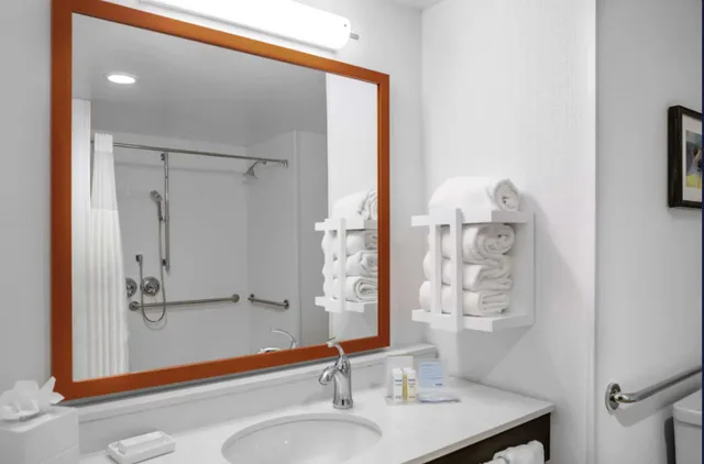 Studio, Suite, King Bed, Accessible, Hampton Inn & Suites Cedar Park North Austin, TX 5/6