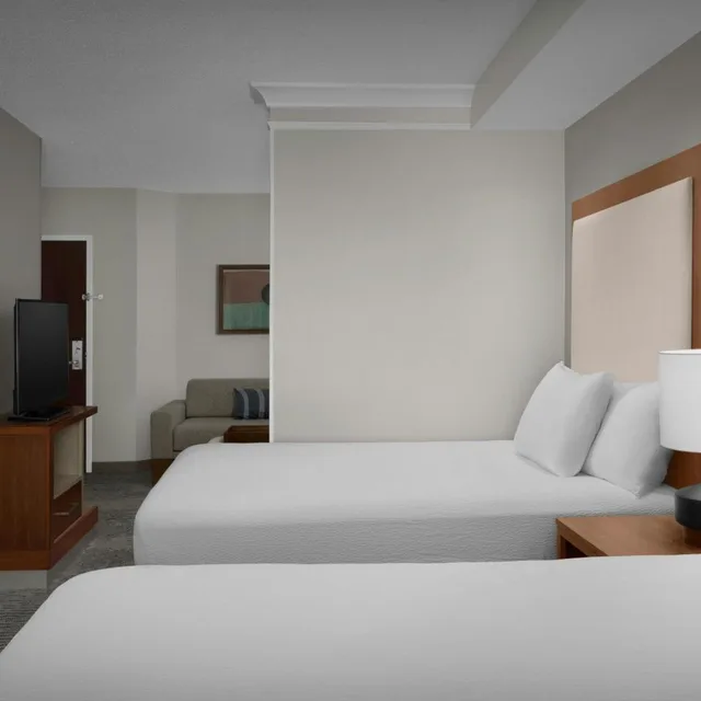 جناح بسريرين كوين مع سرير سحّاب إضافي مع أريكة بحوض استحمام لذوي الإعاقة، Springhill Suites By Marriott Lynchburg Airport/University Area 1/5