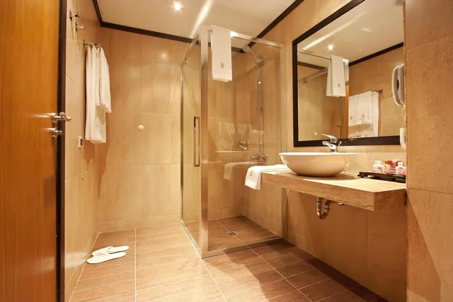 غرفة سوبيريور بسرير فردي، Best Western Plus Bristol Hotel 5/8