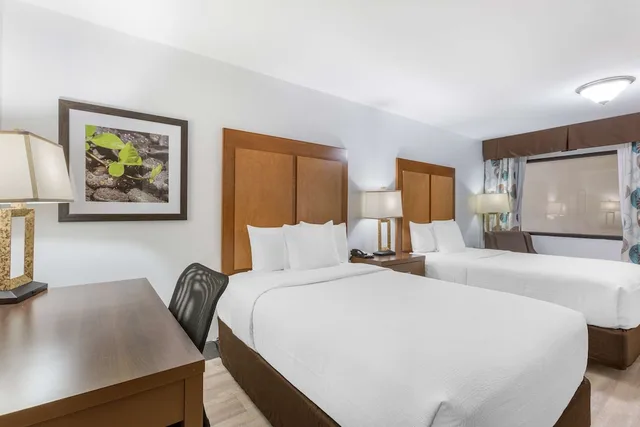 غرفة قياسية بسريرين مزدوجين بحوض استحمام، Best Western Plus El Paso Airport Hotel and Conference Center 2/5
