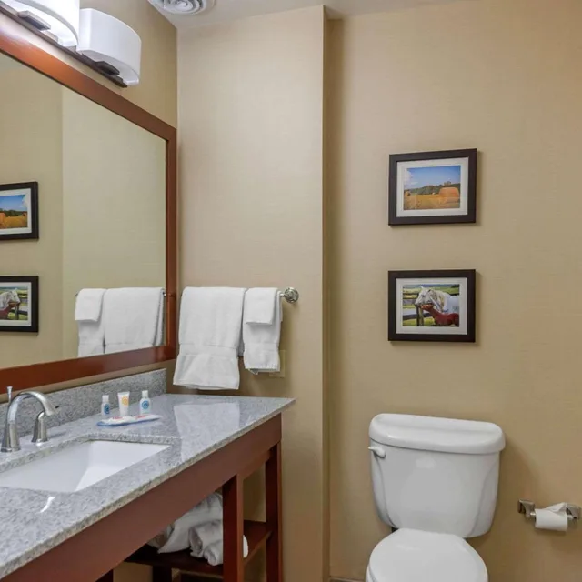 جناح بسرير كينج بحوض جاكوزي، Comfort Inn & Suites Northern Kentucky 6/9