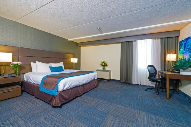 غرفة قياسية بسرير كينج، Best Western Plus Toronto Airport Hotel 4/8