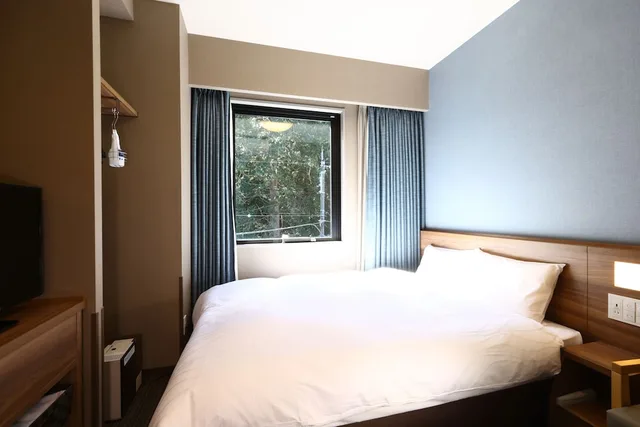 غرفة قياسية بسرير مزدوج، Dormy Inn Express Gotemba Hot Springs 1/3