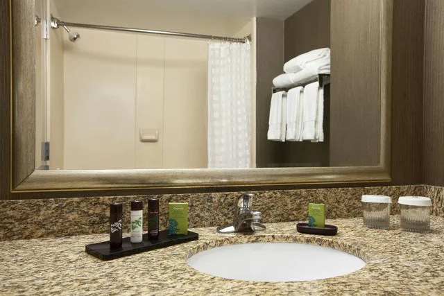 غرفة بسرير كينج، Embassy Suites By Hilton Atlanta Alpharetta 2/4