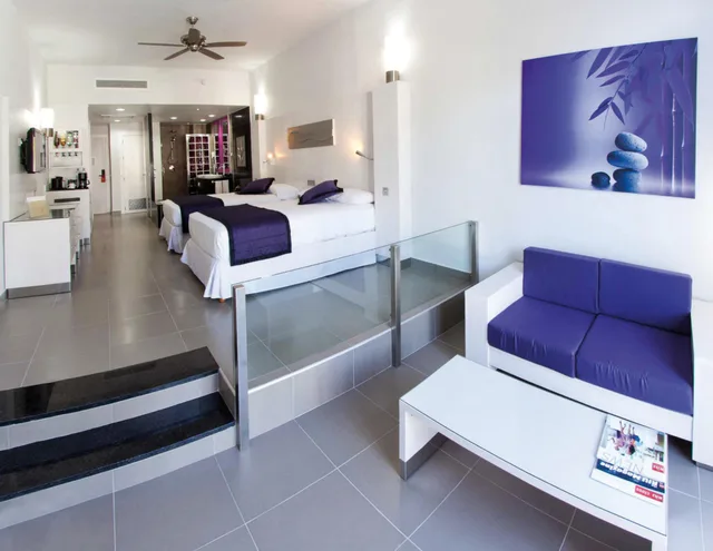 غرفة قياسية بسرير مزدوج، Hotel RIU Palace Mexico All Inclusive 1/1