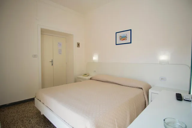 Room, Double Bed, Albergo Delfino 1/10
