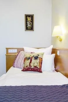 غرفة قياسية مفردة، Hotel Lasthaus Am Ring 3/3