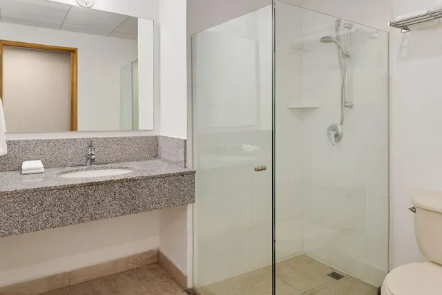 غرفة سوبيريور بسريرين مزدوجين، Hotel Monterrey Macroplaza 7/9