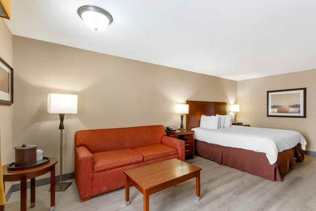 غرفة بسرير كينج مع أريكة يُسمح فيها بالحيوانات الأليفة، Best Western Cottontree Inn 2/3