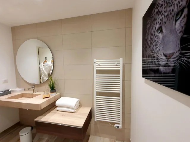 Family, House, Double or Twin Bed, Annex، La Cote Saint Jacques And Spa 7/9