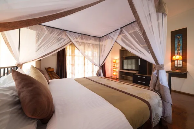 جناح جونيور، Ameg Lodge Kilimanjaro 1/10